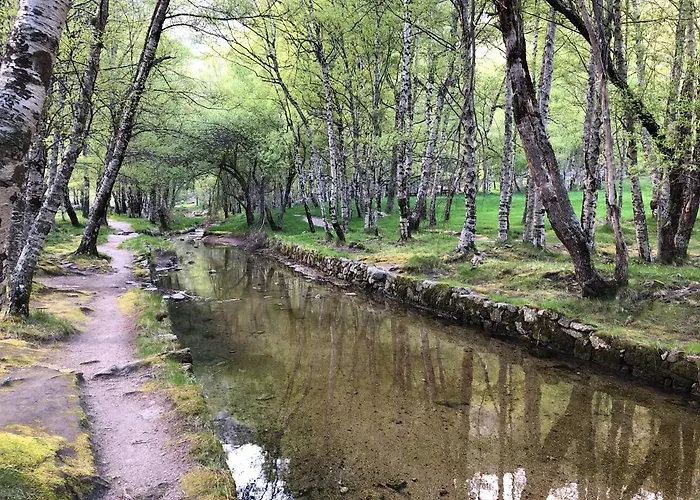 Hébergement de vacances Casa Dos Jasmins By Lisbon Village *